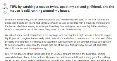 Man Caught A Mouse Twice But Was Able To Escape, Upsetting His Cat and His Girlfriend