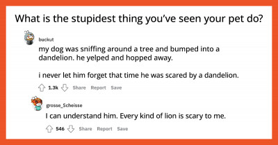20 People Share the Stupidest Things They’ve Seen Their Pets Do