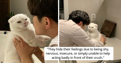 Stubborn Cat Keeps Rejecting Owner's Cuddles, and the Adorable Moment Caught on Cam Went Viral