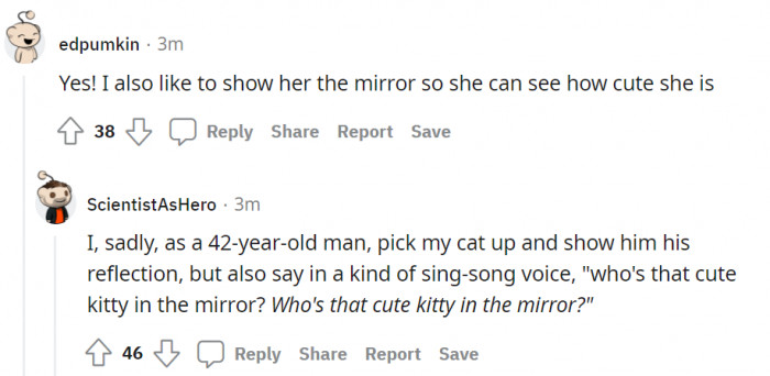 Who's got the cutest pet parent on the internet? This cat!