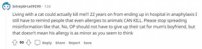 For some people, cat allergies can turn into something worse.