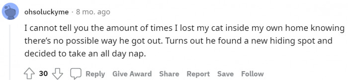 #10 All day nap in a new hiding spot.