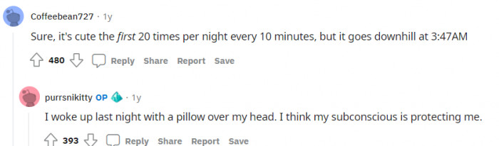 It's cute at first, but then, not so much.