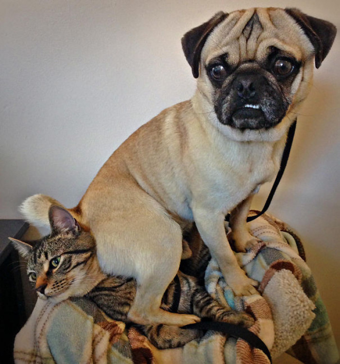 2. Oh no, what just happened here?