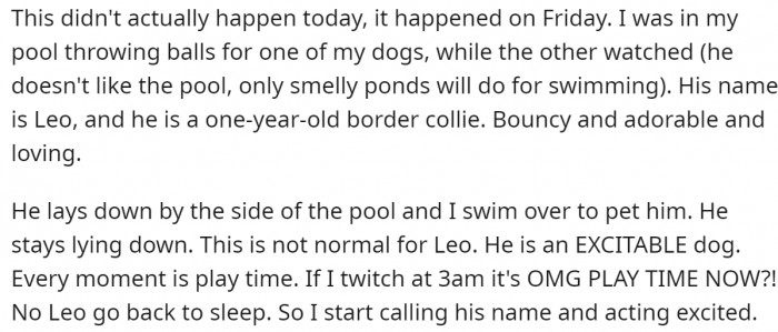 Leo, usually a happy and playful dog, was acting strangely