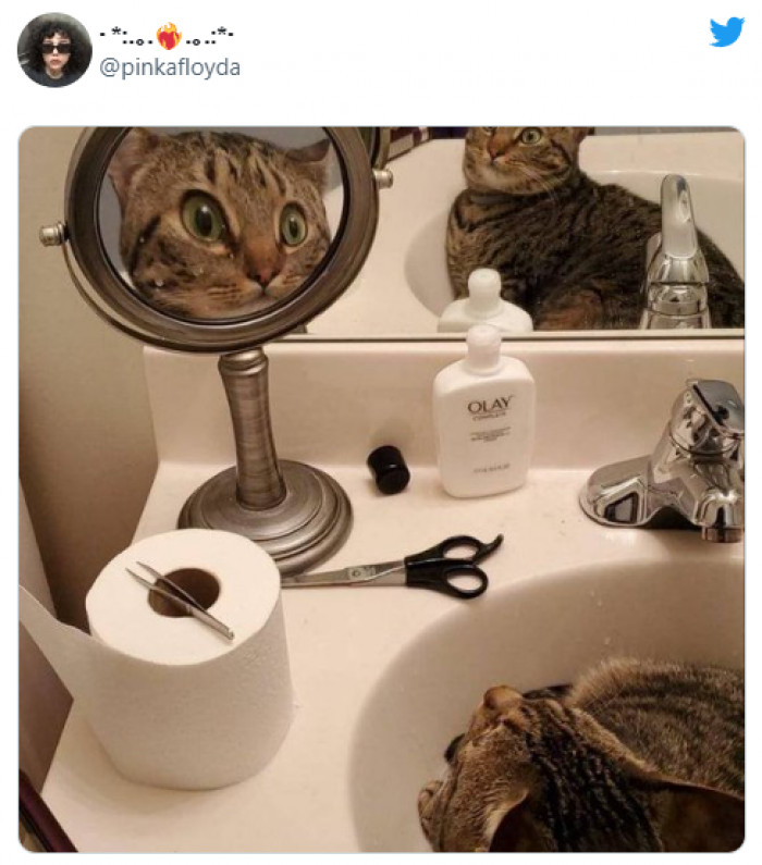 6. That's not how you really look, sweetie. Don't worry.