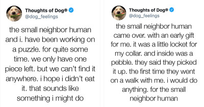 Hilarious Dog Tweets That Are Super Relatable From The Famous Thoughts Of Dog Account