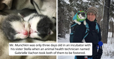An Animal Health Technician's Cat Named Mr. Munchkin Is Having the Time of His Life After Learning to Go on Kayaking Adventures