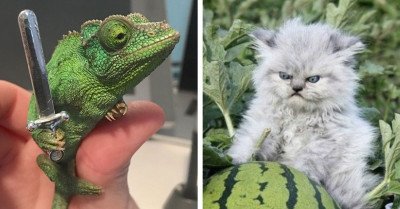 30+ Pictures Of Angry Animals Who Absolutely Could Pass As Diabolical Villains