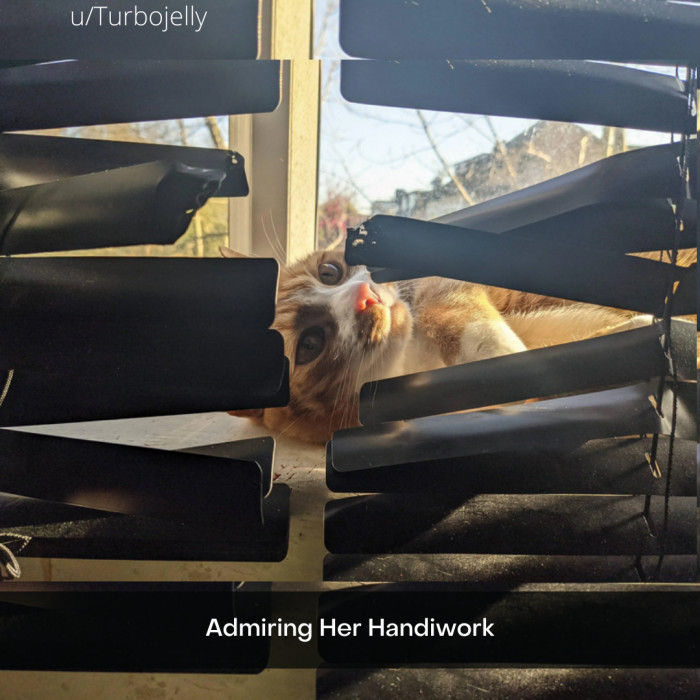 14. She has plenty to admire, I suppose.