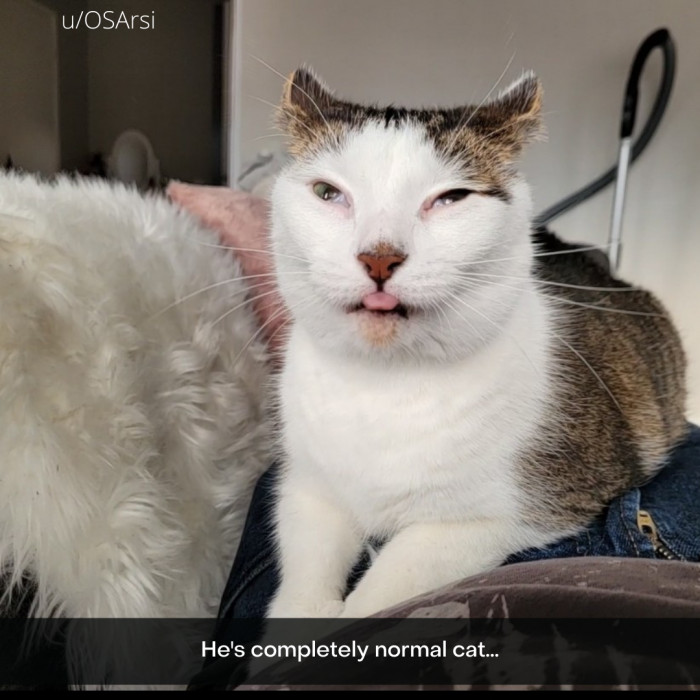 29. Astoundingly normal; nothing weird to see here, folks. Move along.