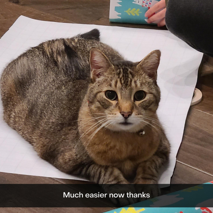 18. Meowy Catmas