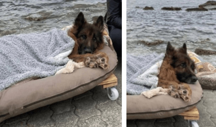 The volunteers had to ensure that his last days were the most memorable.