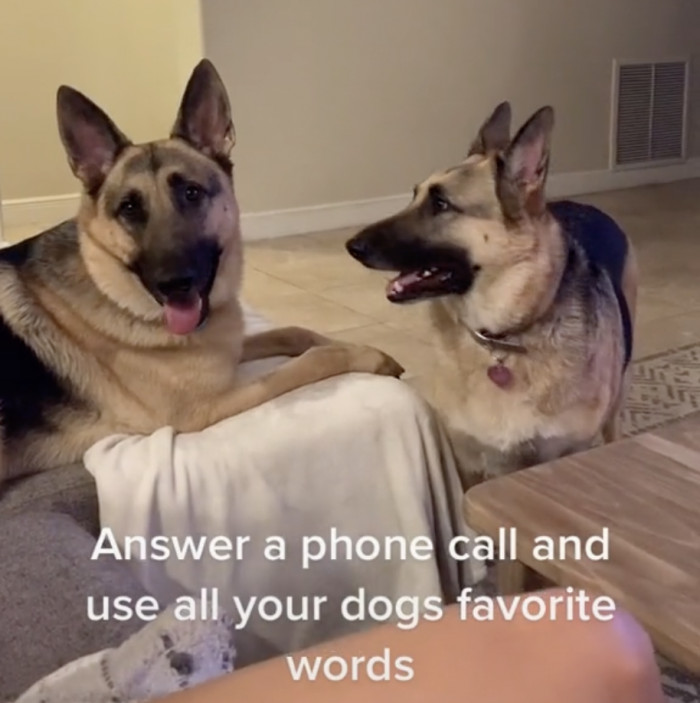 Even before the video properly started, Hazel and Motley already had a look of disbelief on both of their faces