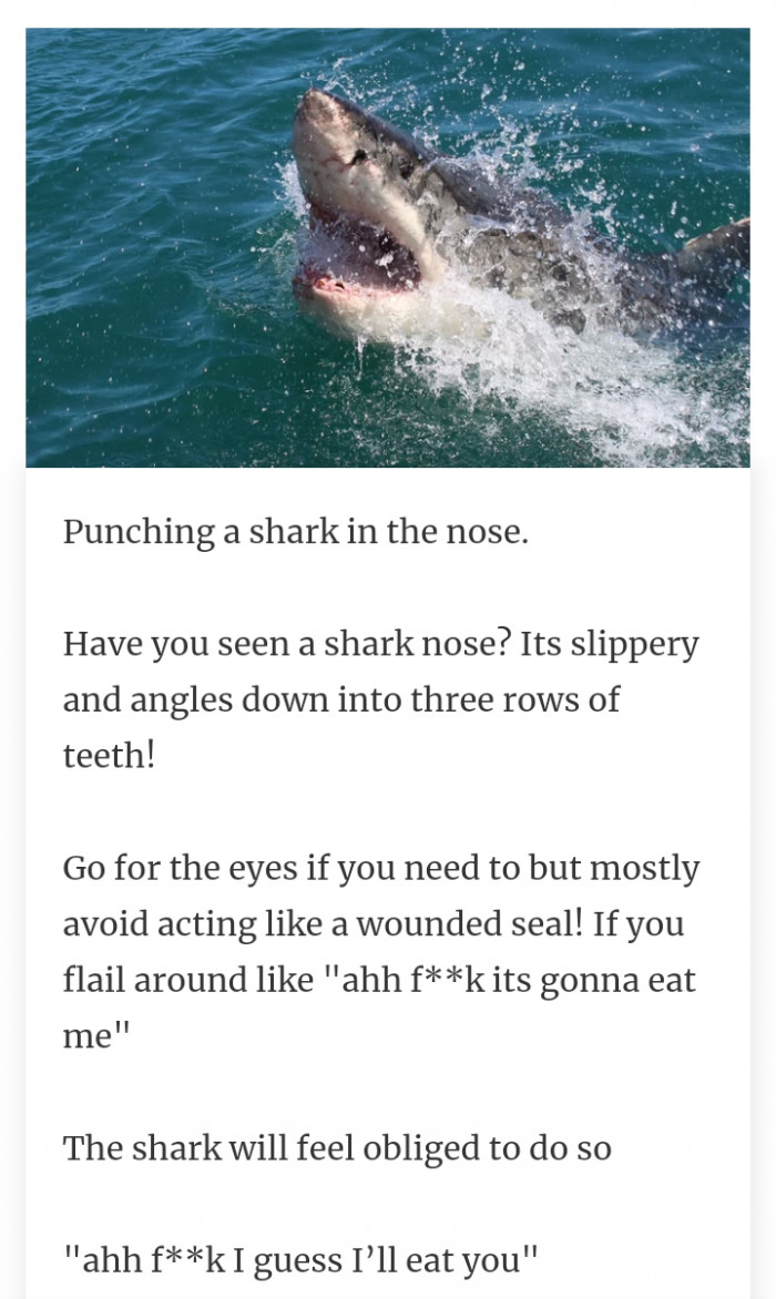 #16 Punching the shark's eyes is a better idea than punching its nose.