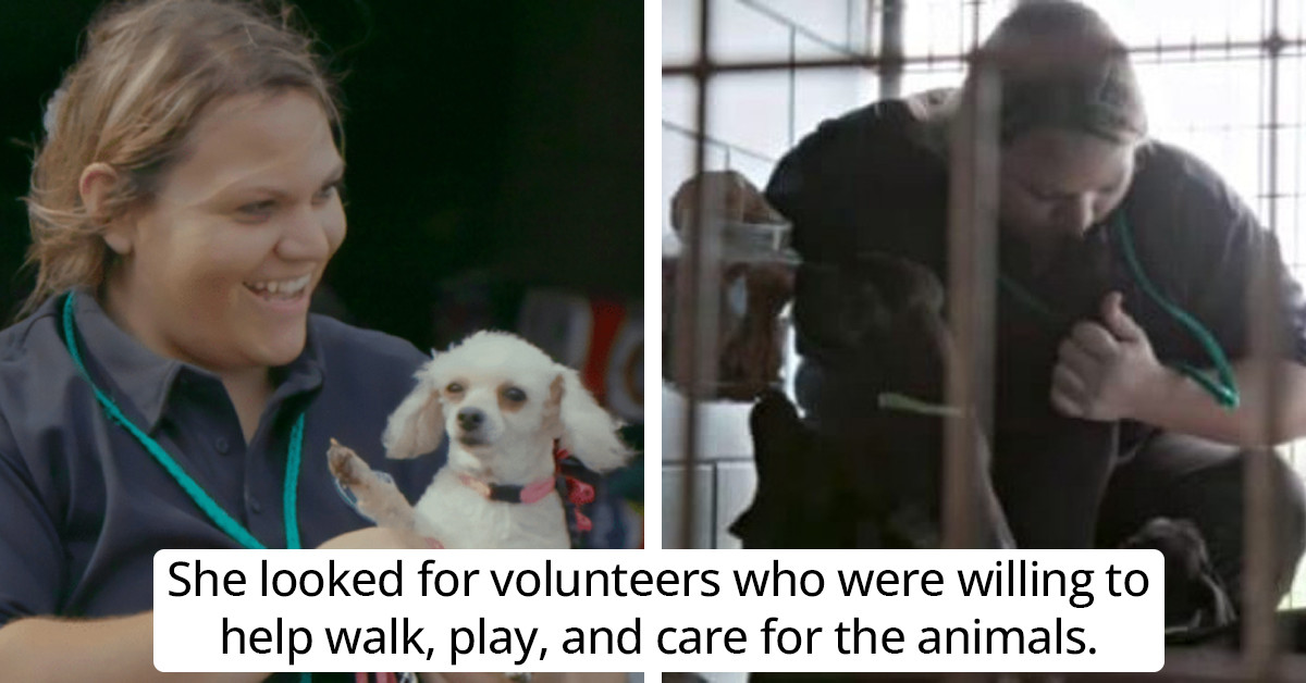 Texas Woman Takes Over Animal Shelter And Decreases Euthanasia Rates ...