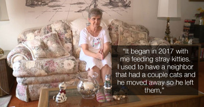 79-Year-Old Woman Sentenced to Jail Time, and Her Only Crime Was Feeding Stray Cats