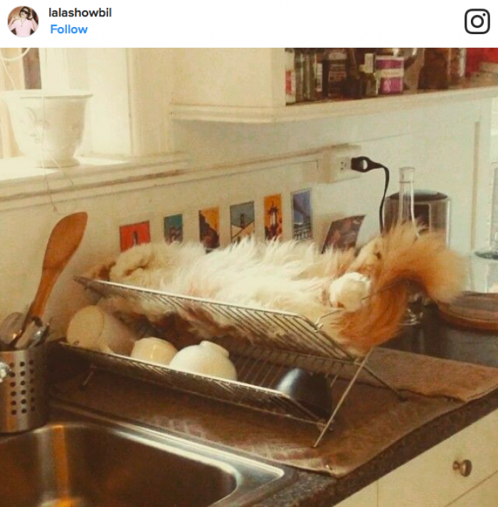 10. Dishes? Also no thanks.