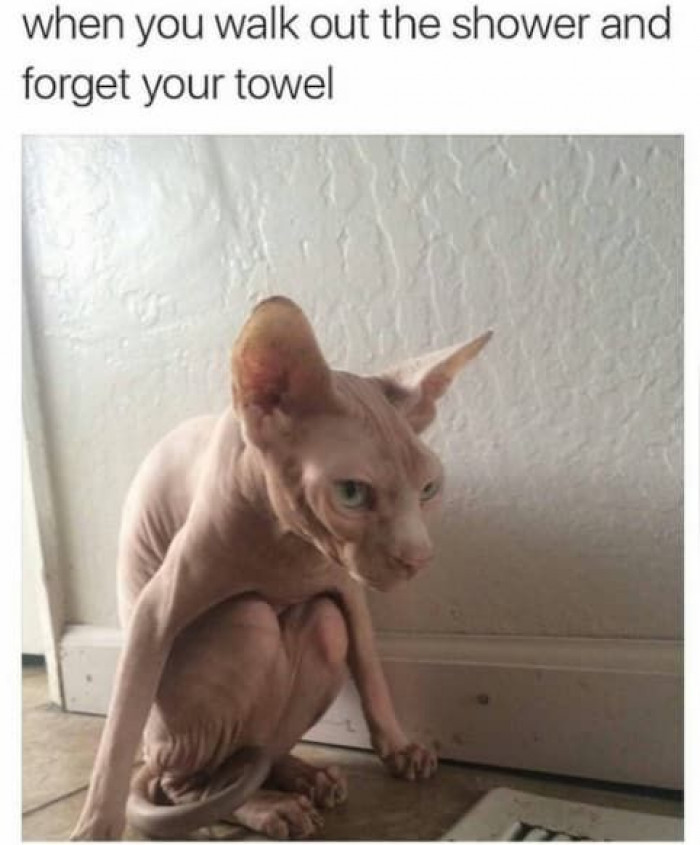 14. The walk of shame