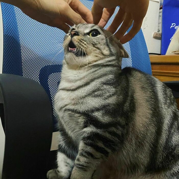 7. "I Am Not Happy with This Head Massage"