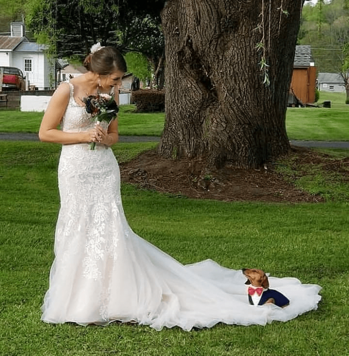 8. "He's pretty comfy right there and doesn't feel like moving."