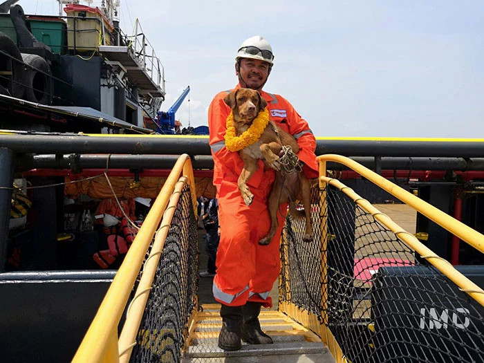 Here he is with the worker who volunteered to adopt him.