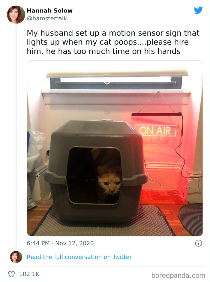 45. Being cooped up has us all getting a little extra creative