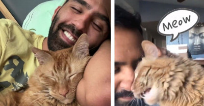 Talkative Cat Has The Cutest Conversations With His Dad