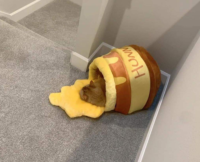 21. I'm loving the bed