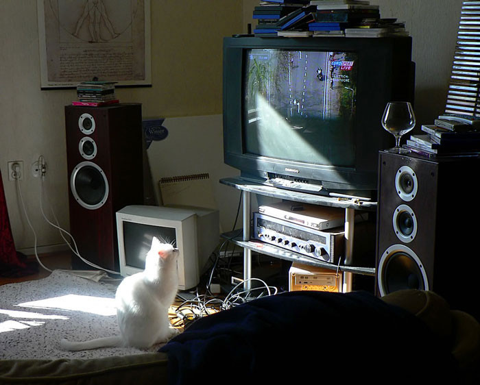 1. Not being bugged about liking a TV show