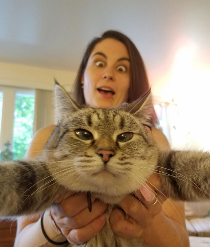 \#20 Taking A Selfie With My Derpface Human