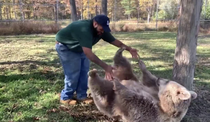 Sonya arrived at the Orphaned Wildlife Center in Otisville, New York, when she was a cub, after her mother died.