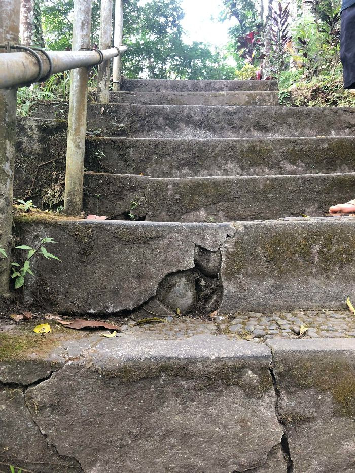 "This Crack on the Stairs Looks Like a Cat"
