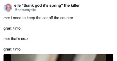 Cats Hate Tin-Foil And It's Weirdly Exciting For All Cat Owners