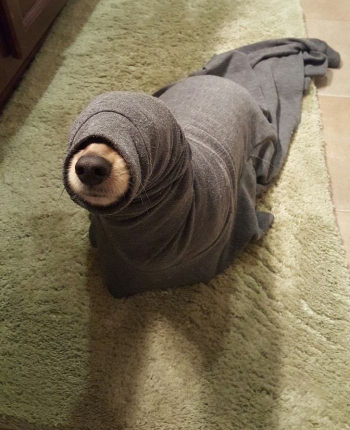 21. Someone wants to be a loose seal.