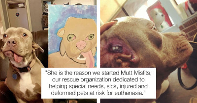 Woman Adopts Stray Deformed Doggo With Two Mouths