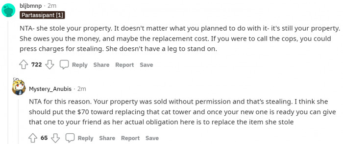 The roommate should pay for the new cat tree, which will be arriving in three months.