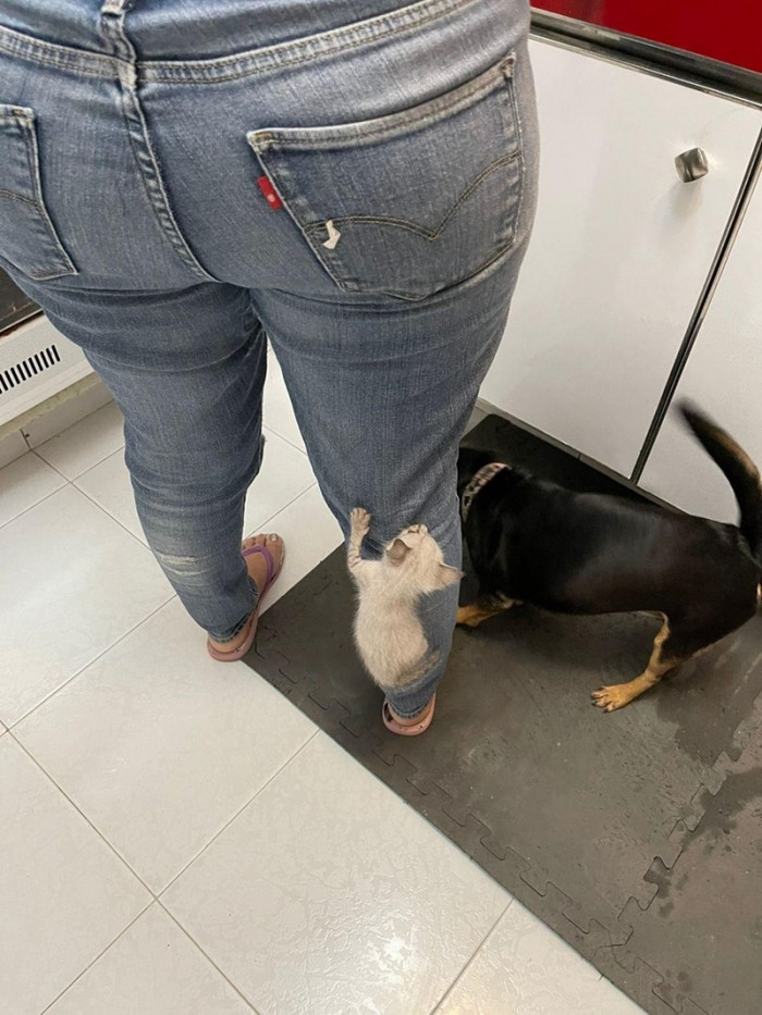 She began to crawl and even climb!