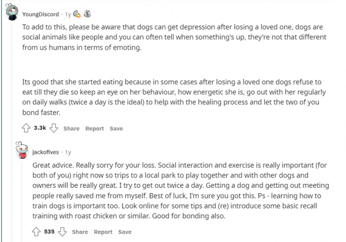 Very true. Dogs go through almost the same emotions as humans when it comes to loss.