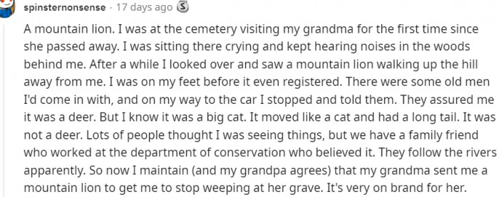 7. A mountain lion at the cemetery