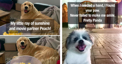 Precious Dogs Participate In the Smiling Dog Challenge And Totally Nail It