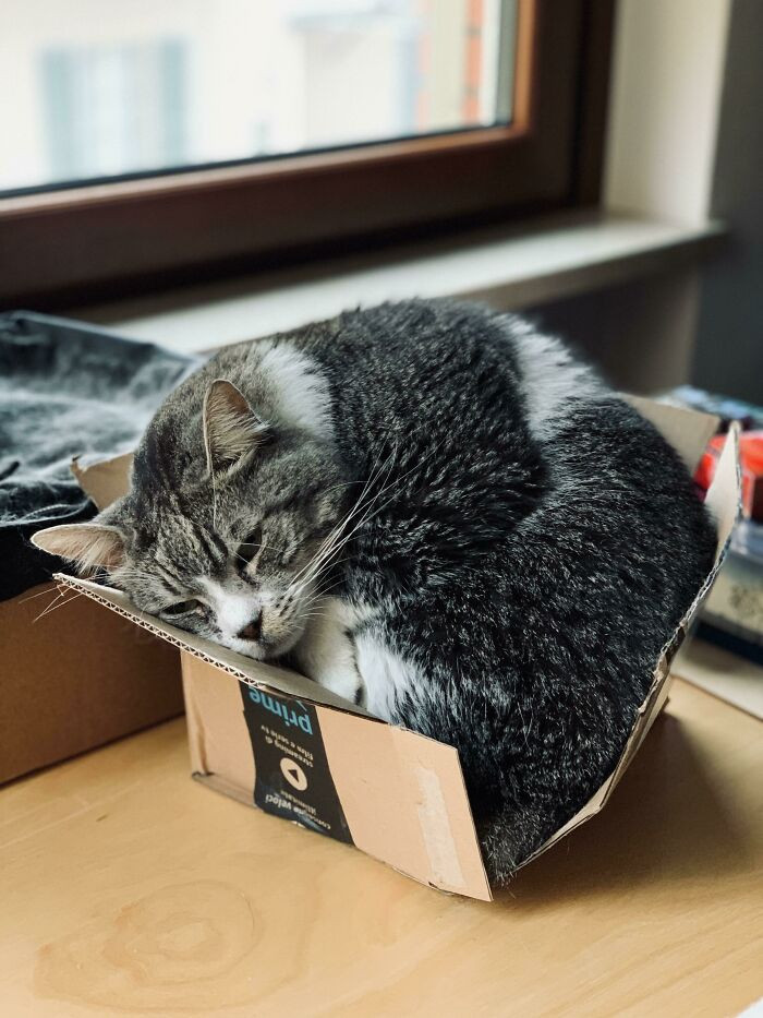 15. If it fits, I sit