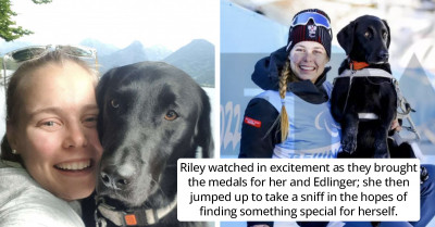 Guide Dog Awarded With Medal On The Olympic Podium, And He Just Can't Hold His Excitement