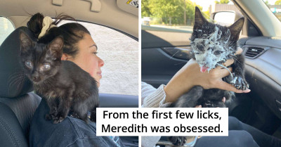 Rescue Kitten Gets A Pupperccino As A Treat And She Loves It