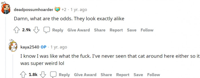 They looked the same indeed. There seems to be no distinction at all.