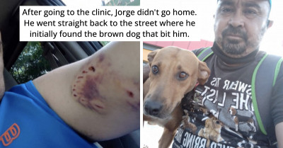 Mexican Man Attempts to Rescue a Stray Dog That Ended Up Biting Him; He Later Returns to Gain Its Trust and Save It