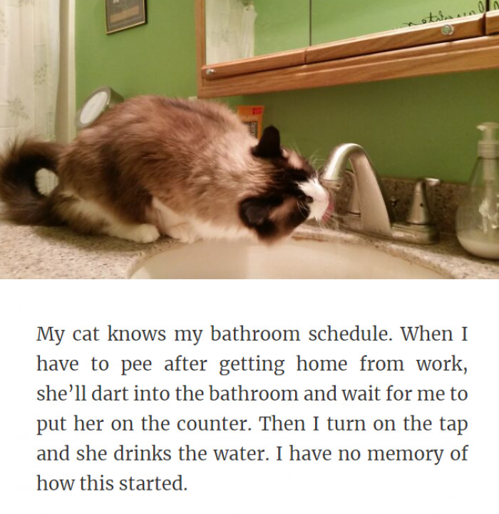 28. Bathroom Routine