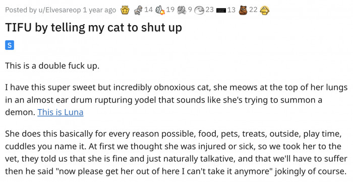According to the owner, Luna, their cat is so noisy.