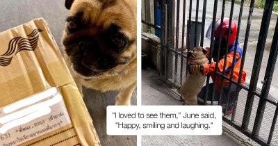 Woman Orders Special Packages Just So Her Dog Can See Her Deliveryman Bestie