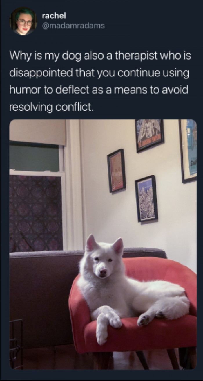 19. This dog has an important job.